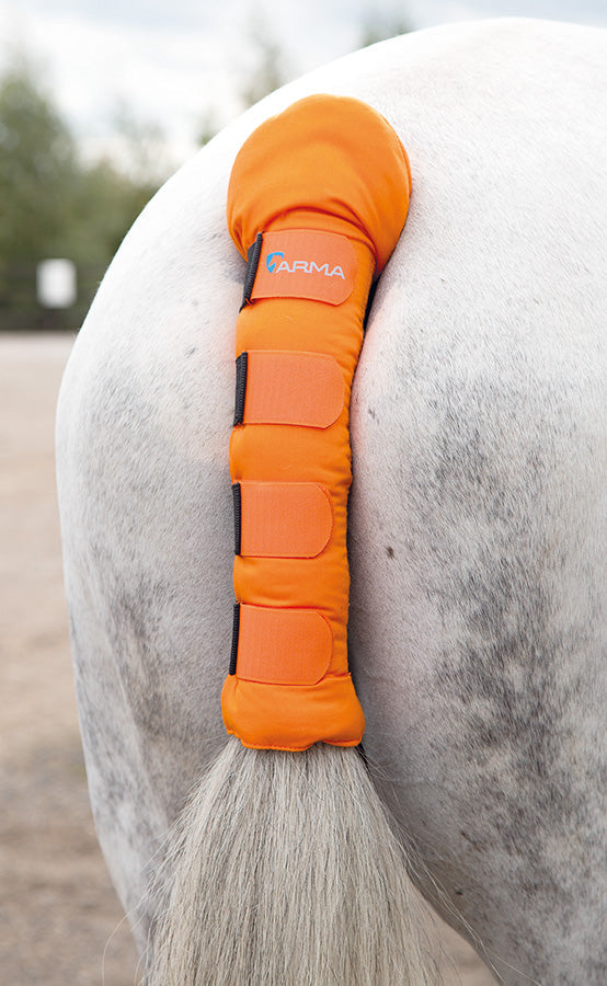 Arma Padded Tail Guard - Nags Essentials