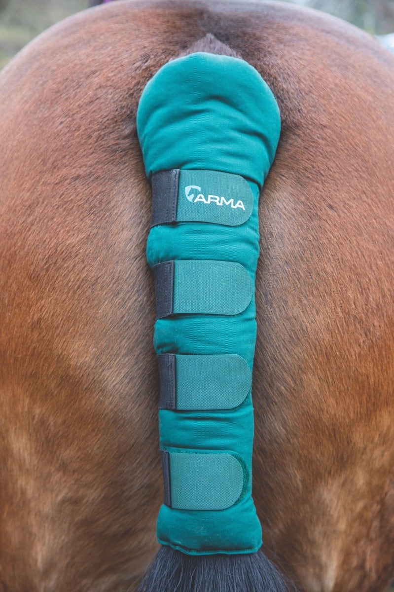 Arma Padded Tail Guard - Nags Essentials