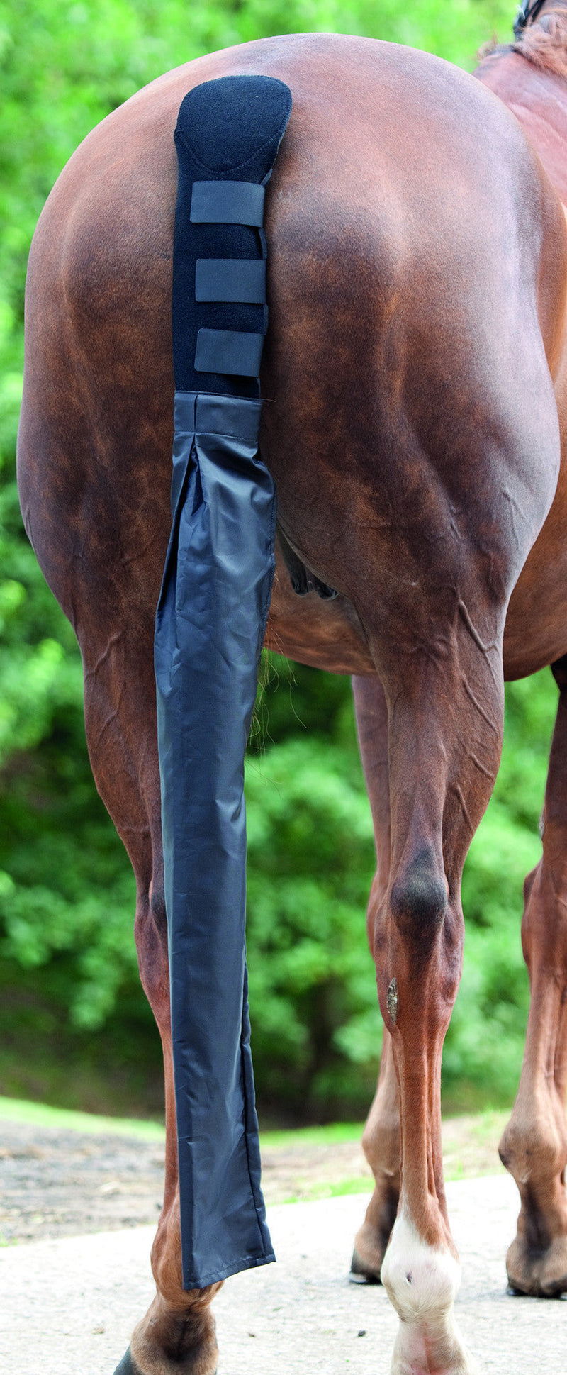 Arma Tail Guard with Detachable Tail Bag - Nags Essentials