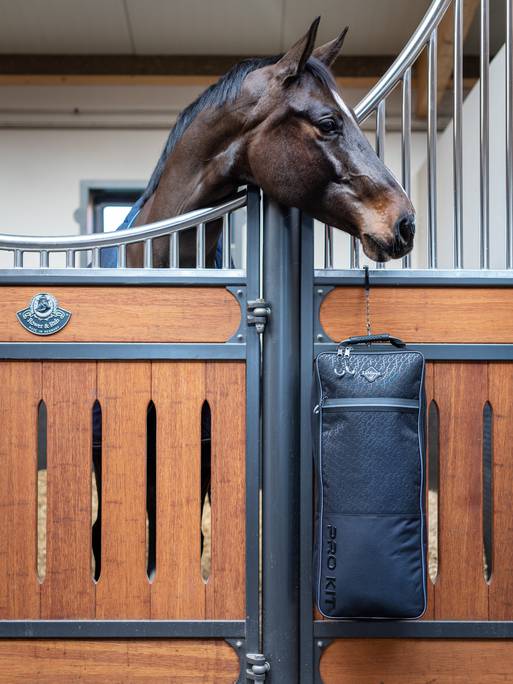 Lemieux Elite Bridle Bag