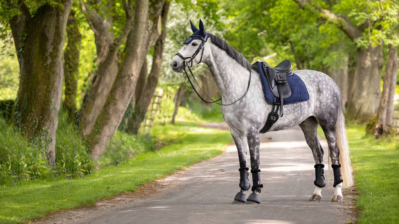 LeMieux Dressage Work Pad