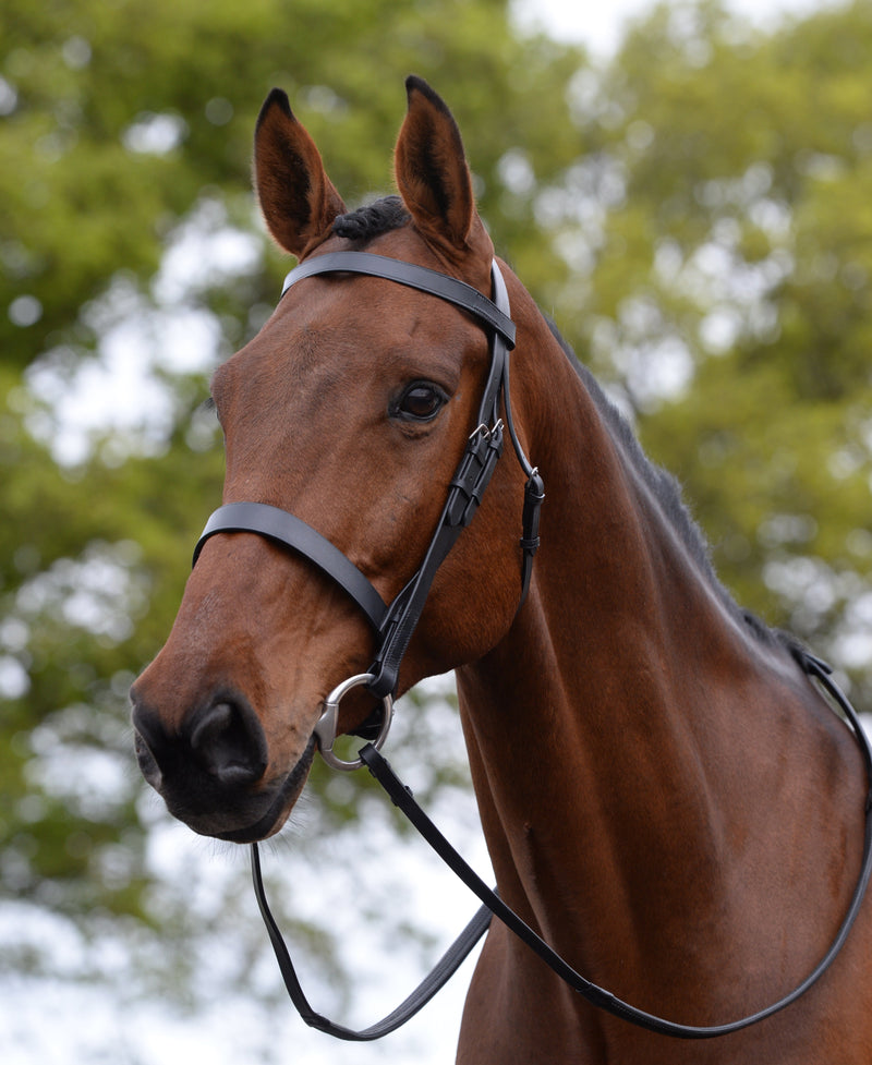 Kincade Hunt Cavesson Bridle - Nags Essentials