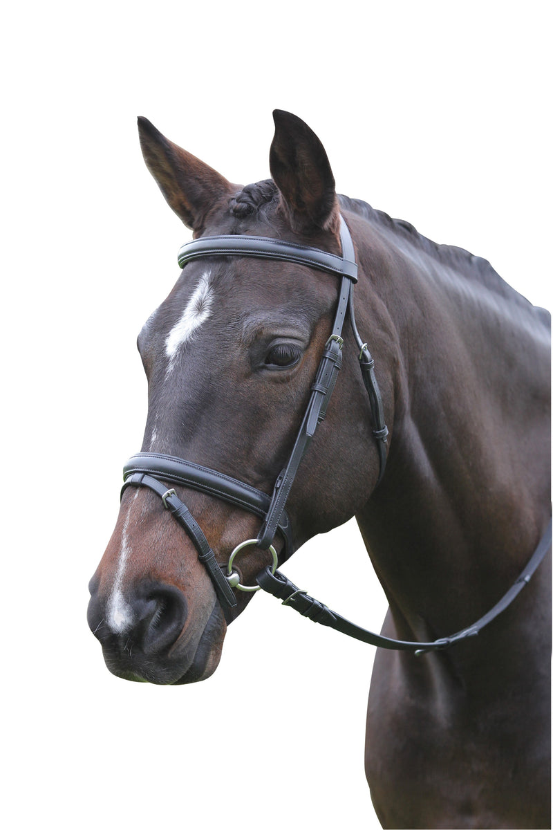 Kincade Flash Bridle II