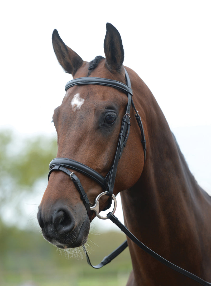 Kincade Flash Bridle - Nags Essentials