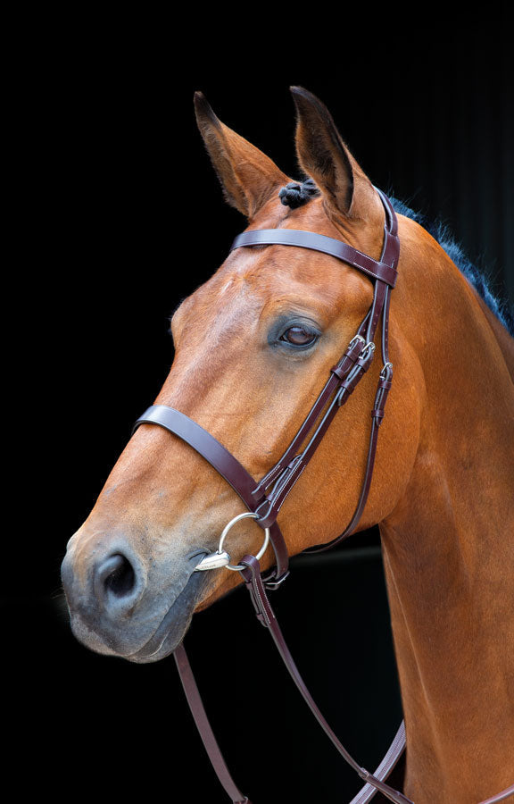 Salisbury Berrington Bridle - Nags Essentials