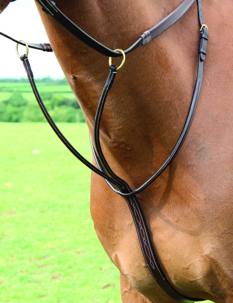 Salisbury Running Martingale - Nags Essentials