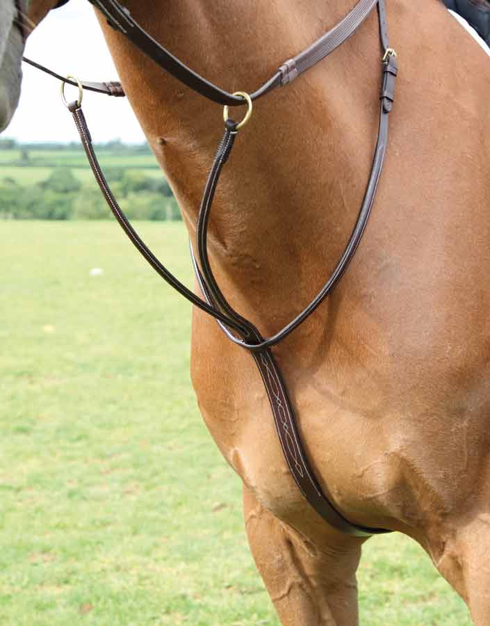 Salisbury Running Martingale - Nags Essentials