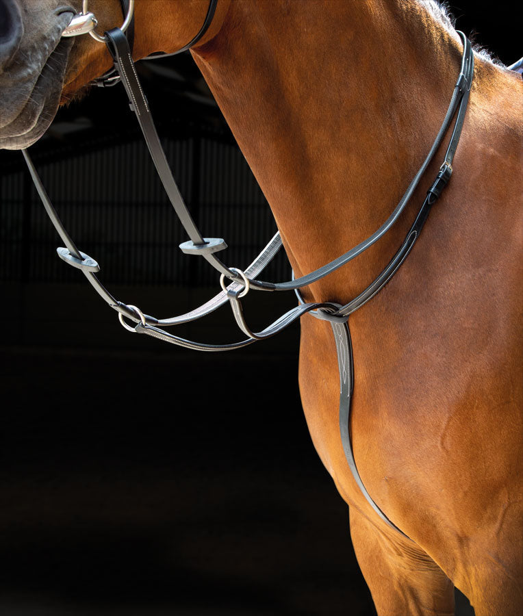 Salisbury Running Martingale - Nags Essentials