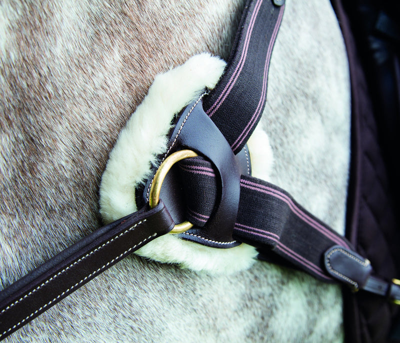 Salisbury Five Point Breastplate - Nags Essentials