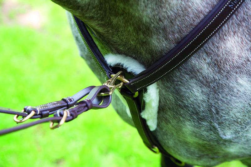 Salisbury Five Point Breastplate - Nags Essentials