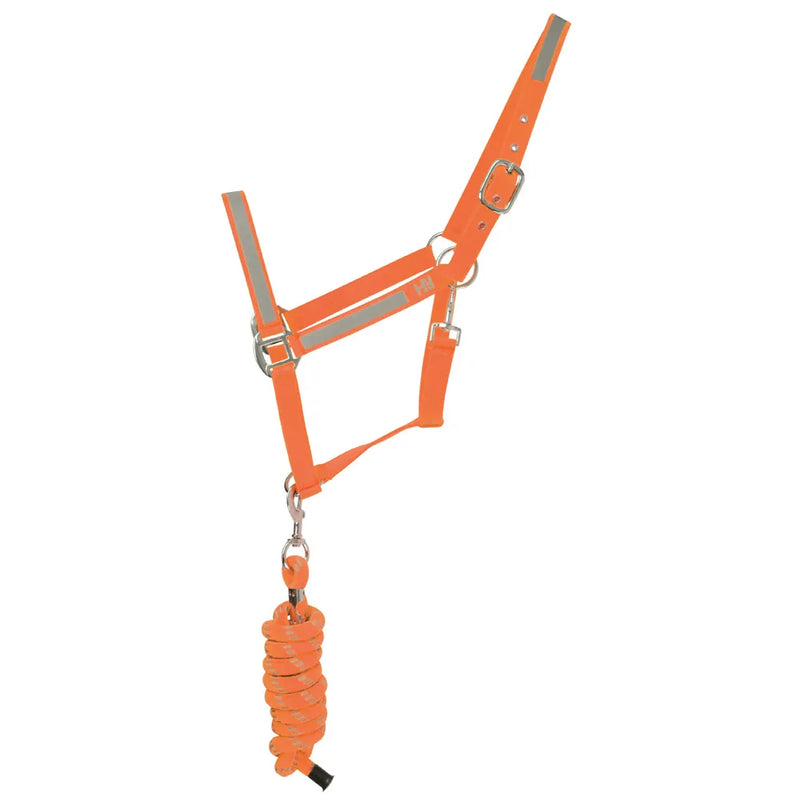 Reflector Headcollar and Leadrope