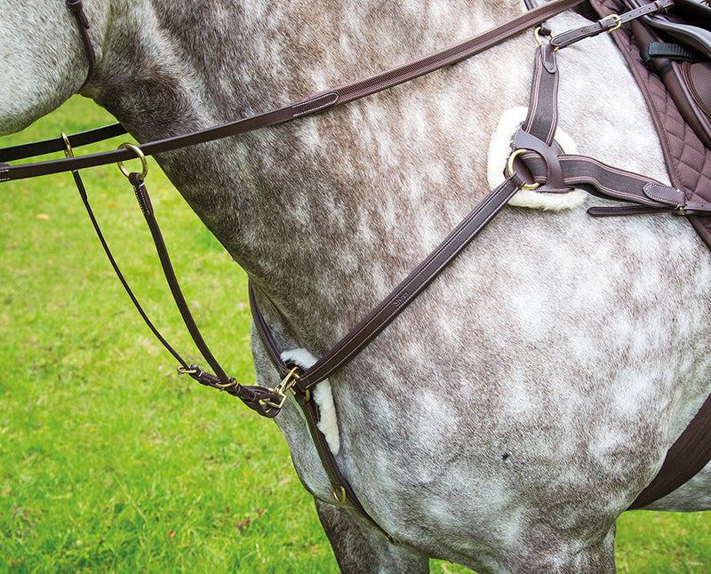 Salisbury Five Point Breastplate - Nags Essentials