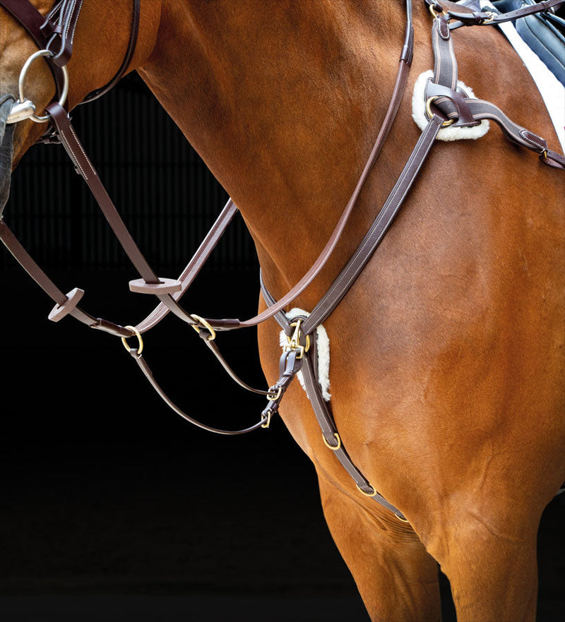 Salisbury Five Point Breastplate - Nags Essentials