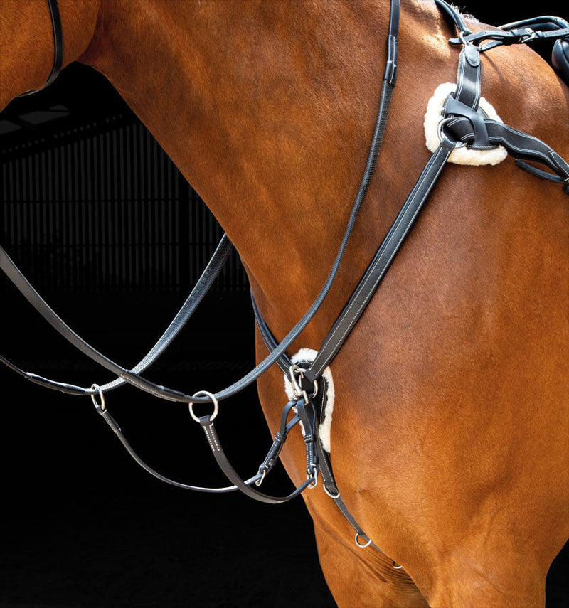 Salisbury Five Point Breastplate - Nags Essentials