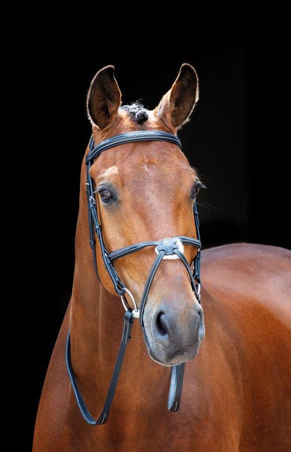 Salisbury Brackley Bridle - Nags Essentials