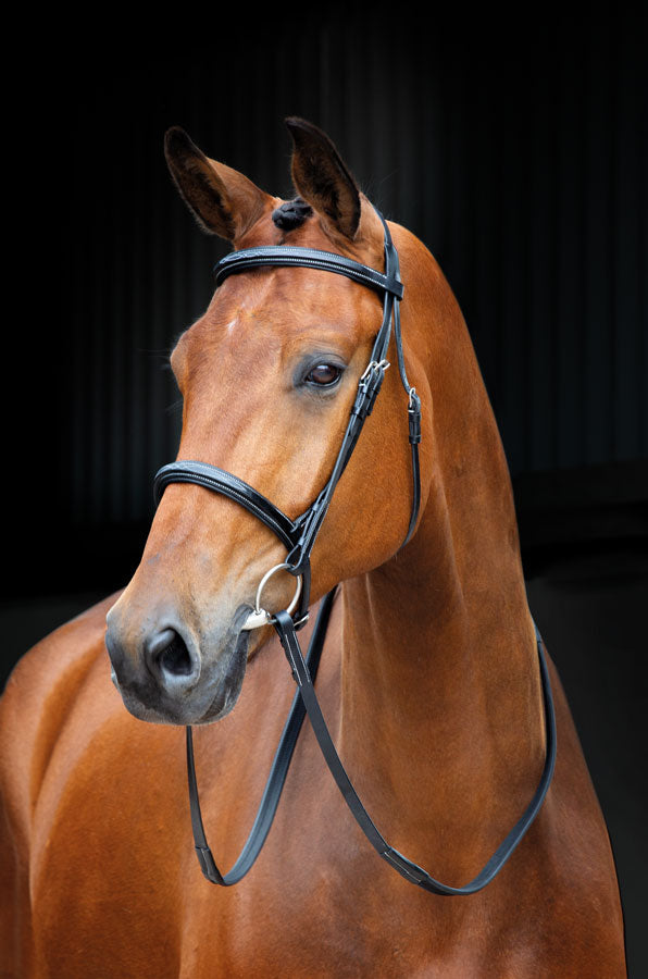 Salisbury Fairford Bridle - Nags Essentials