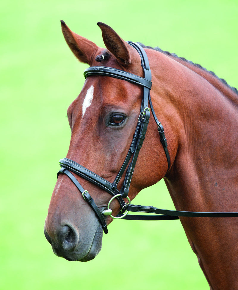 Salisbury Bodenham Bridle - Nags Essentials