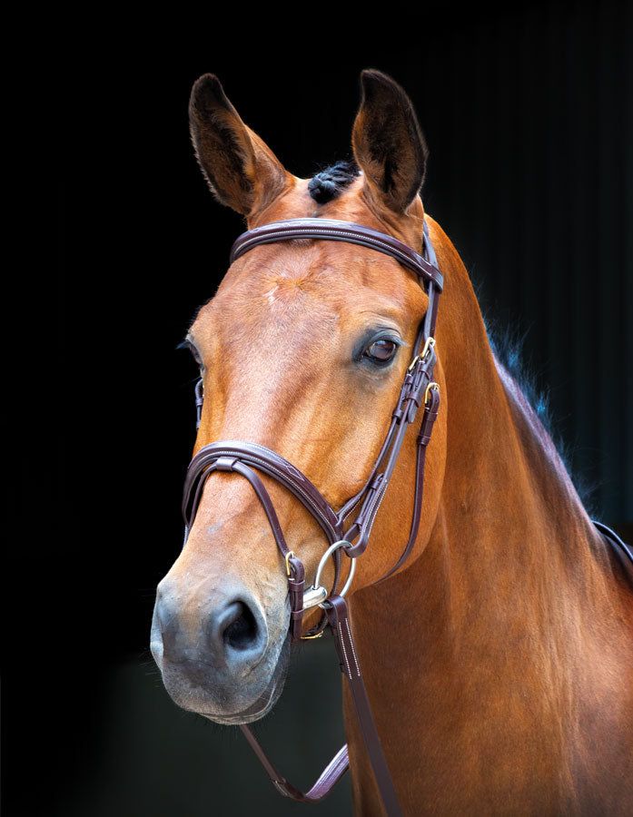 Salisbury Bodenham Bridle - Nags Essentials