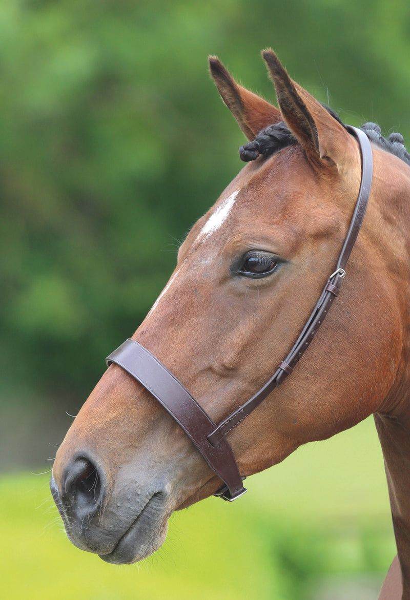 Velociti GARA Hunter Cavesson Noseband