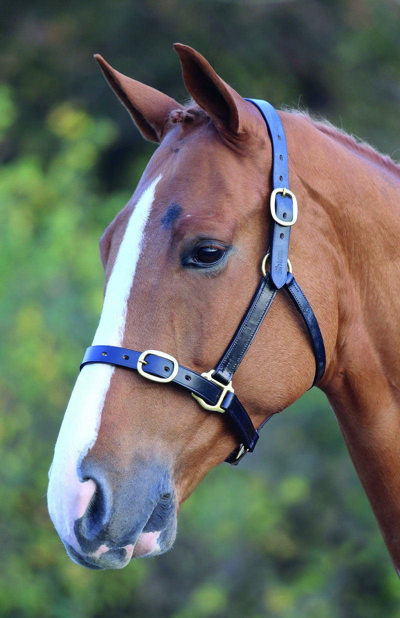 Blenheim Fully Adjustable Leather Headcollar - Nags Essentials