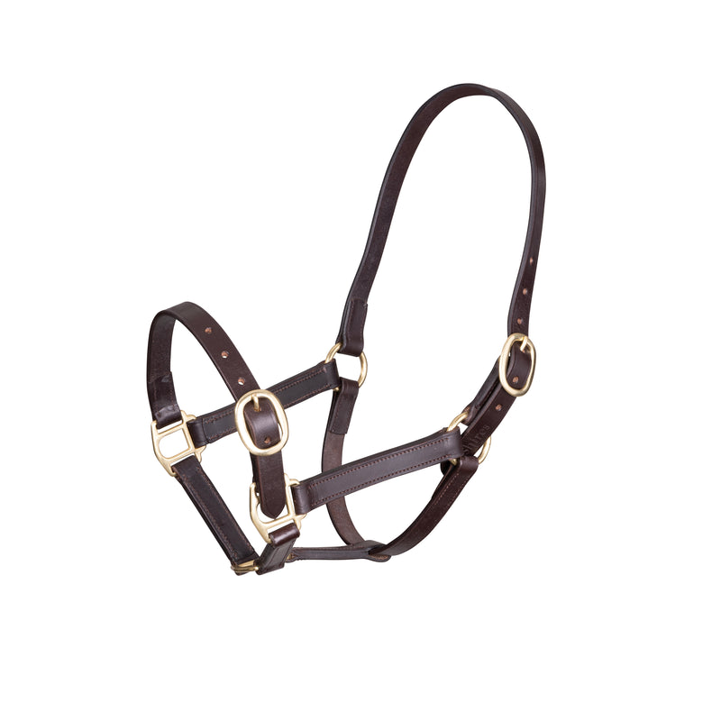 Velociti GARA Adjustable Leather Headcollar