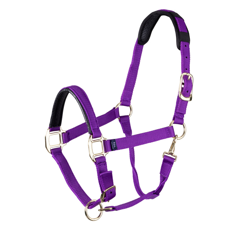 Topaz Nylon Headcollar