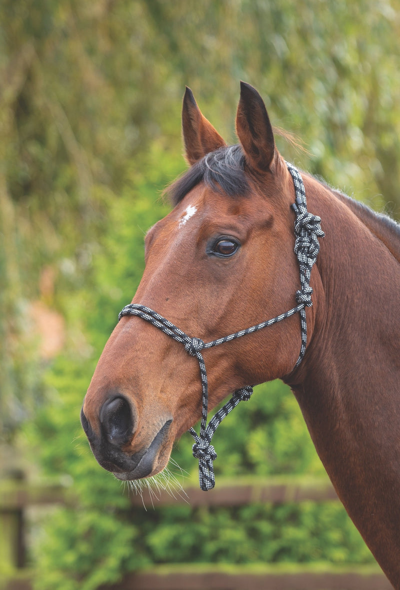 Rope Control Headcollar