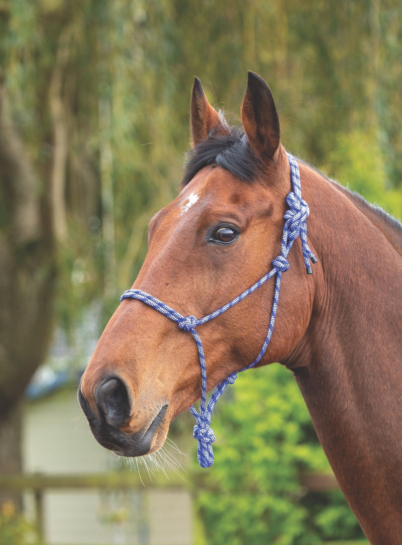 Rope Control Headcollar