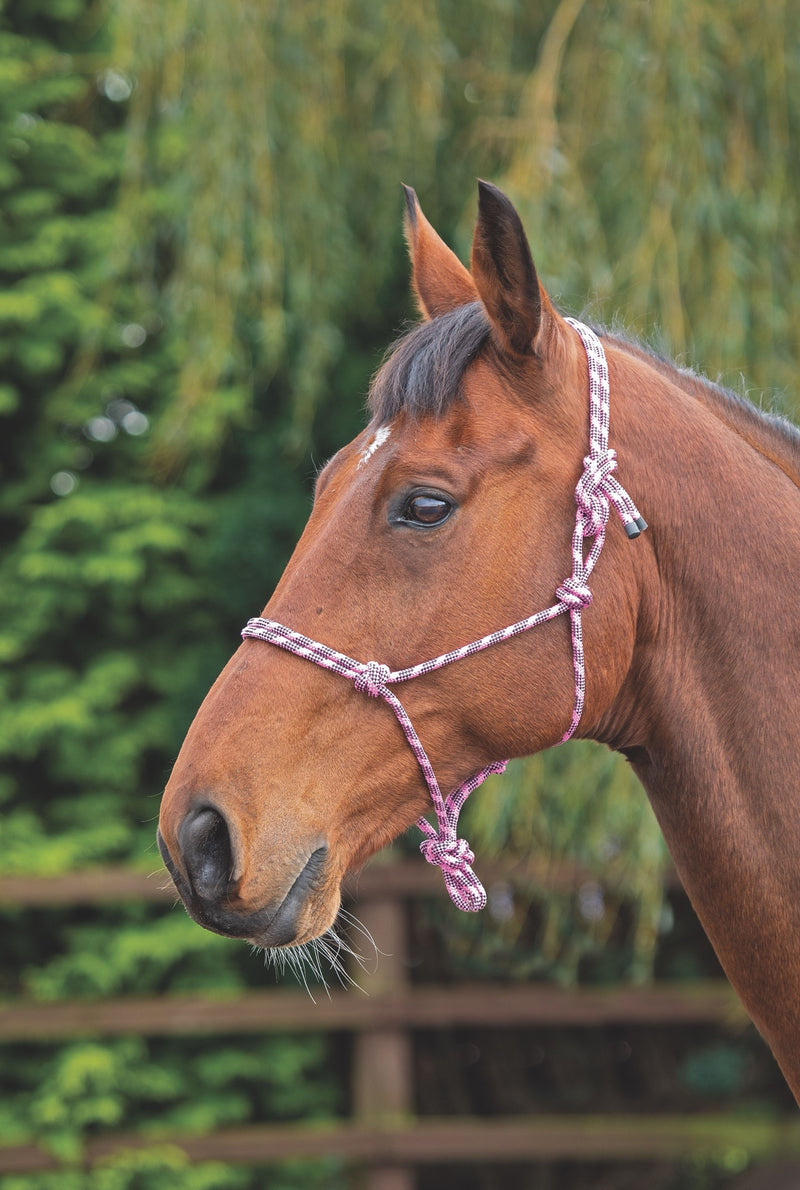 Rope Control Headcollar