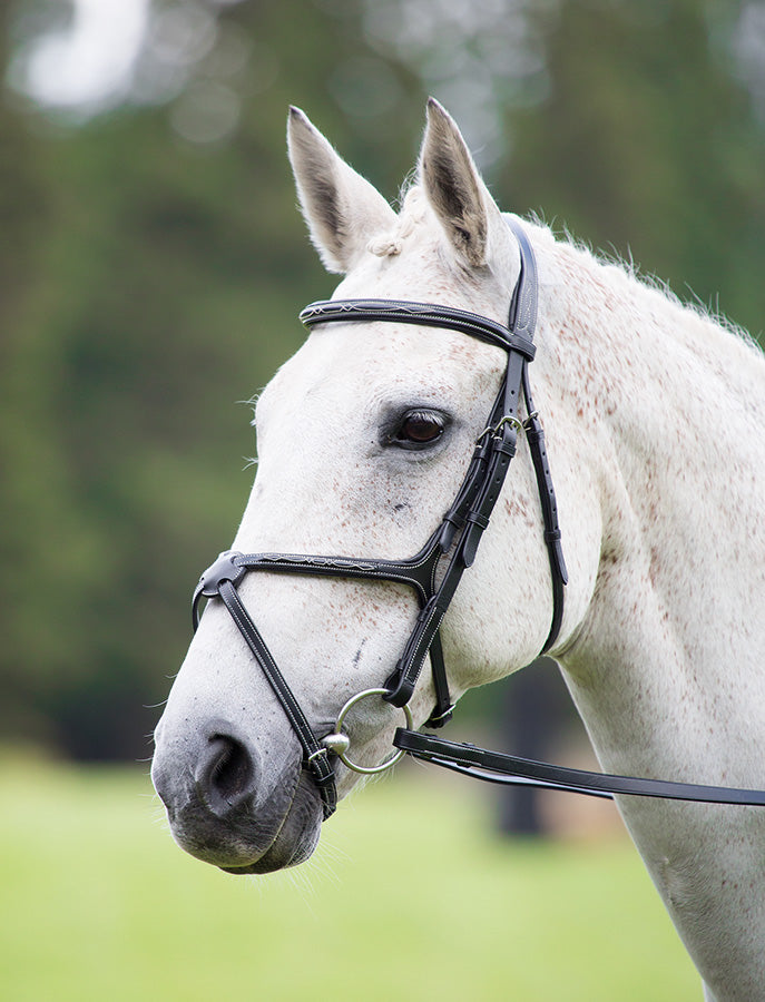 Avignon Grackle Bridle - Nags Essentials