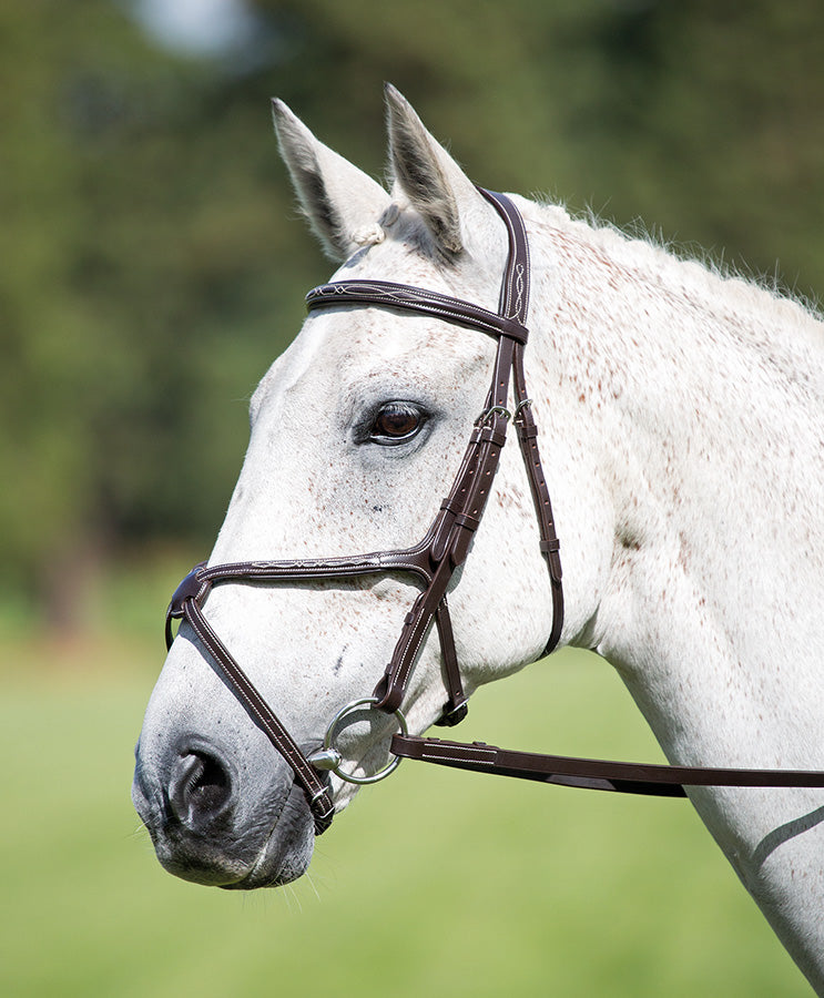 Avignon Grackle Bridle - Nags Essentials