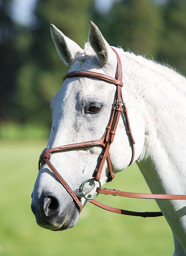 Avignon Grackle Bridle - Nags Essentials