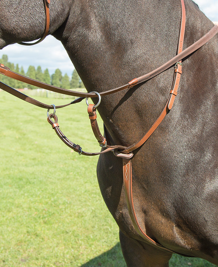 Avignon Running Martingale - Nags Essentials