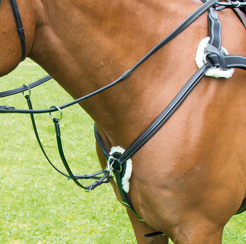 Avignon 5 Point Breastplate - Nags Essentials