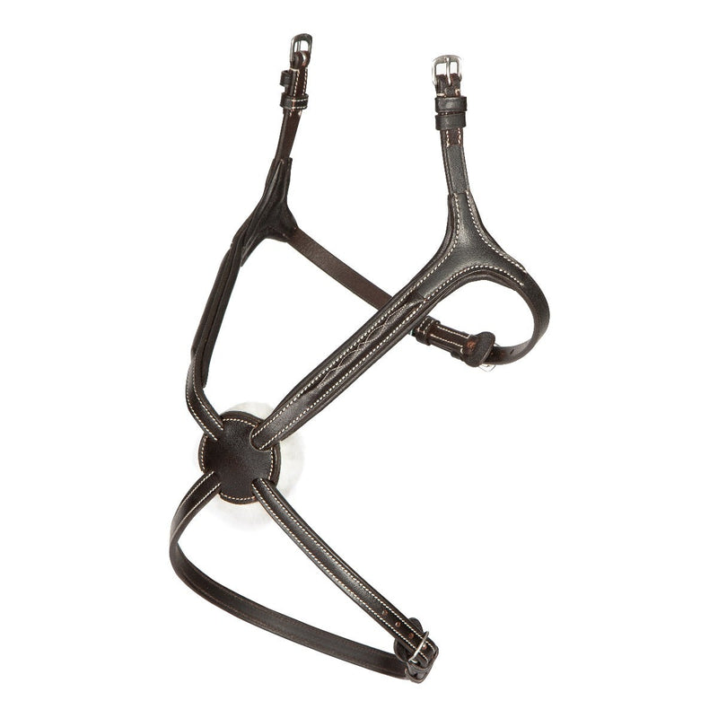 Avignon Grackle Noseband