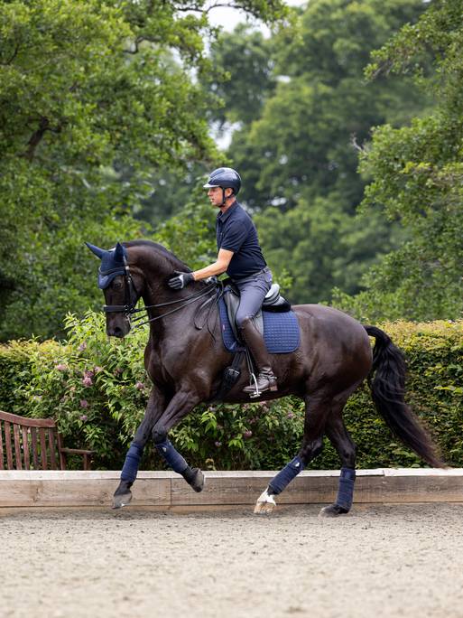 LeMieux Suede Dressage Square