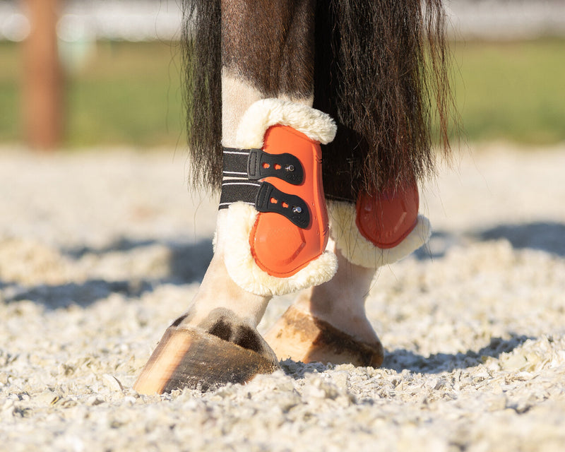 Menton Fetlock Boots