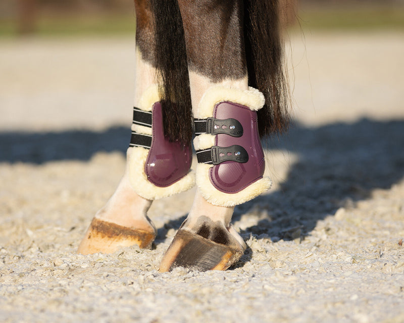 Menton Fetlock Boots