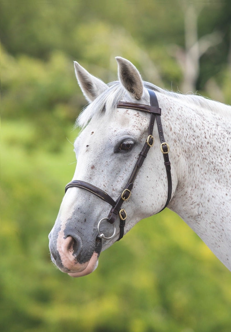 Velociti GARA Fancy Stitched Inhand Bridle