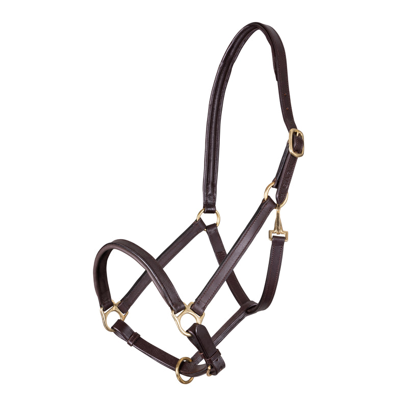 Velociti GARA Ragley Lined Leather Headcollar