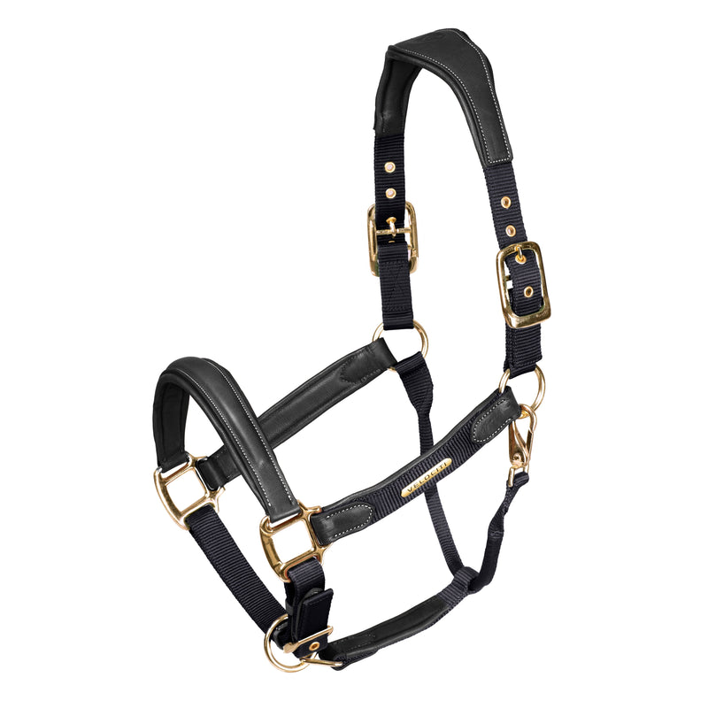 Velociti LUSSO Padded Leather Headcollar