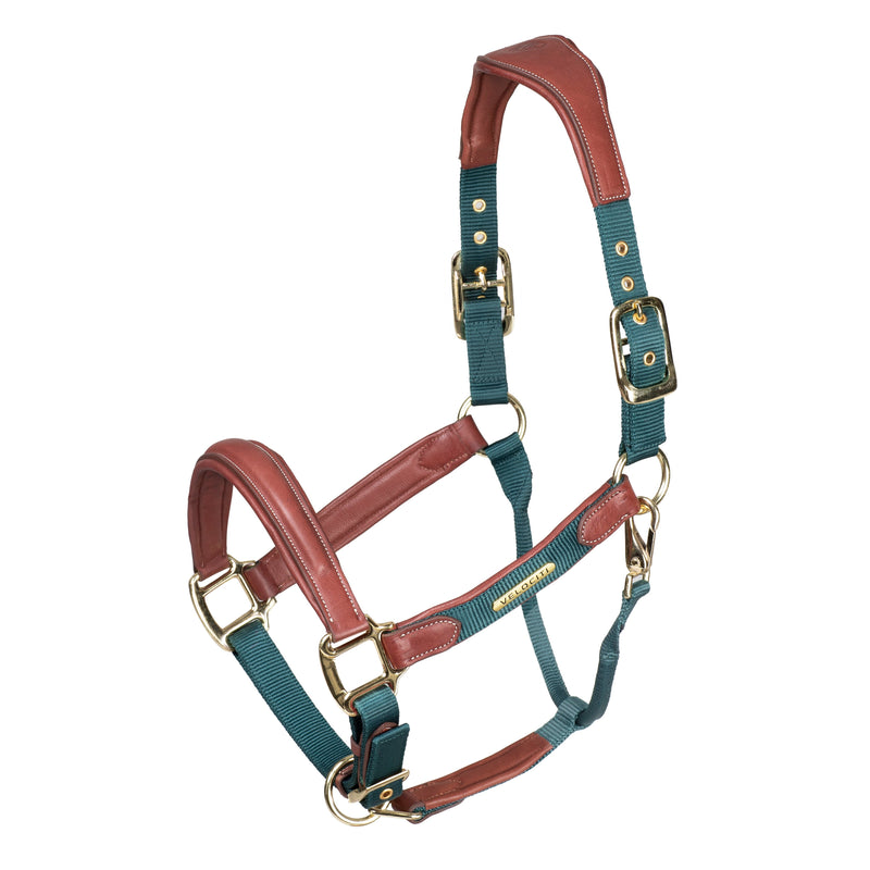 Velociti LUSSO Padded Leather Headcollar