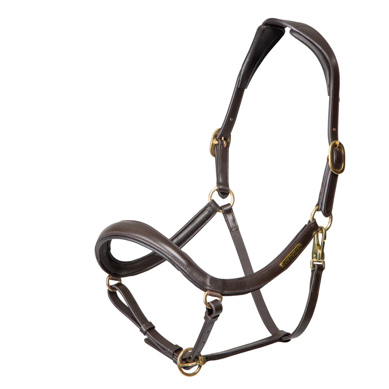 Velociti RAPIDA Curved Leather Headcollar