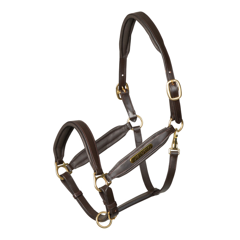 Velociti GARA Leather Headcollar