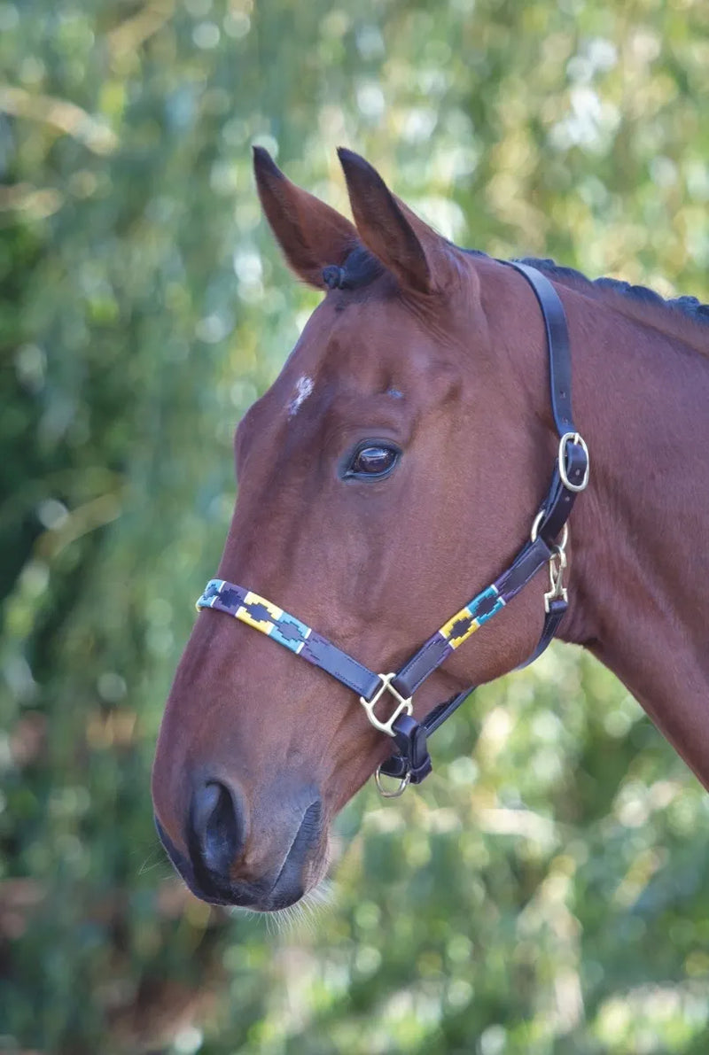 Velociti GARA Leather Polo Headcollar