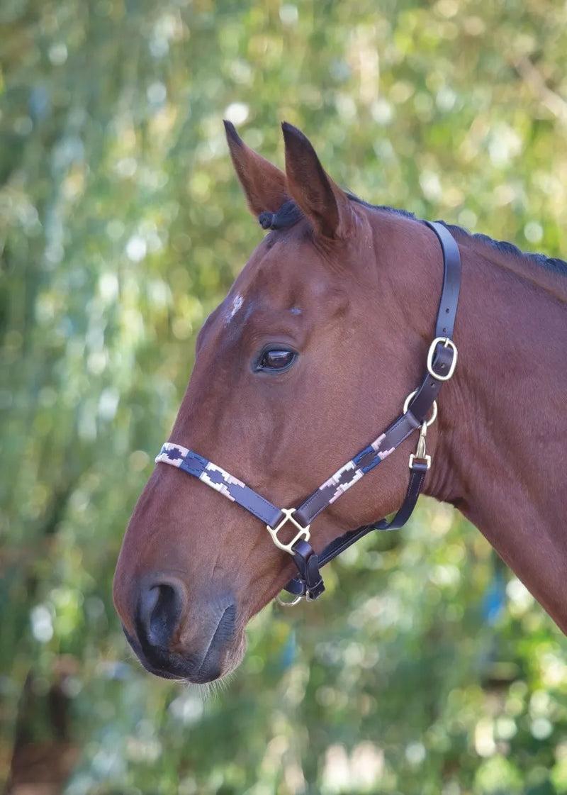 Velociti GARA Leather Polo Headcollar