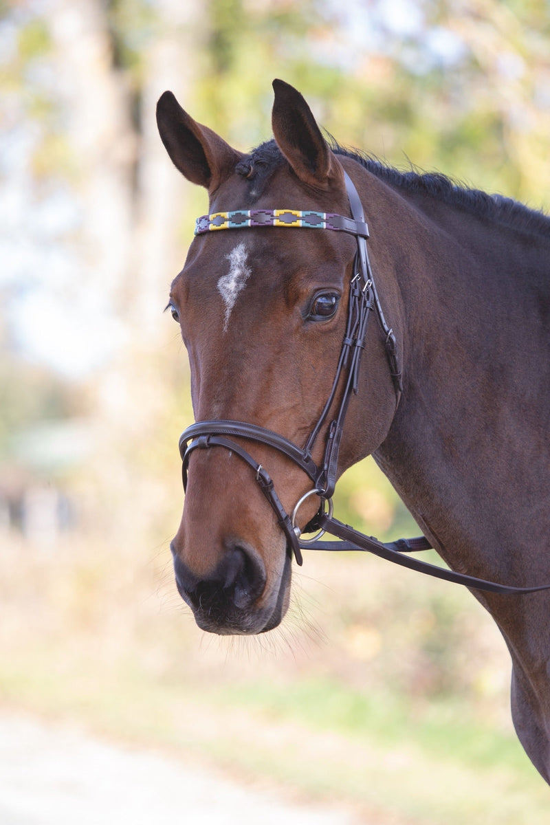 Velociti GARA Leather Polo Browband