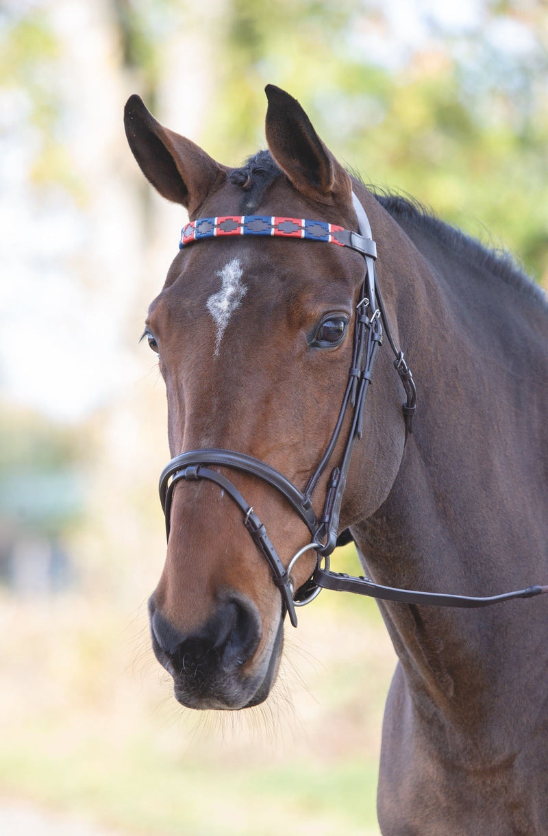 Velociti GARA Leather Polo Browband