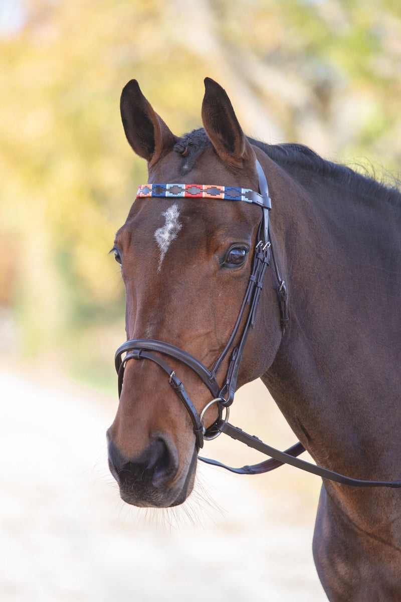 Velociti GARA Leather Polo Browband