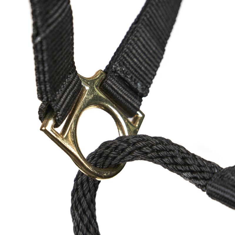 ARMA Control Headcollar